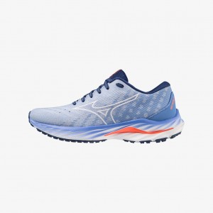 Mizuno WAVE INSPIRE 19 SSW Blu | IT_MZN61500